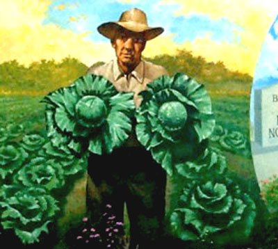 Senator B. C. Pearce
Agricultural Mural, left, cabbages and senator