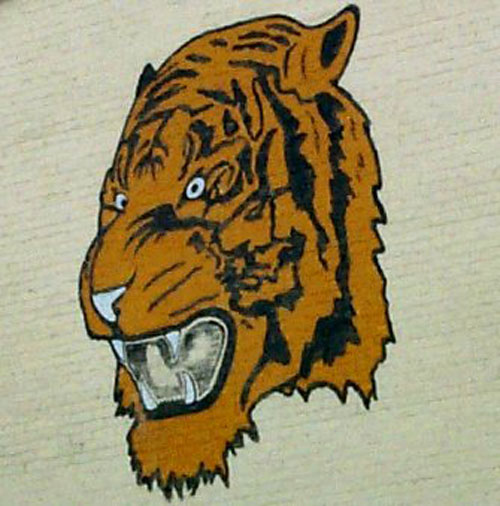 Beasley Tiger, details